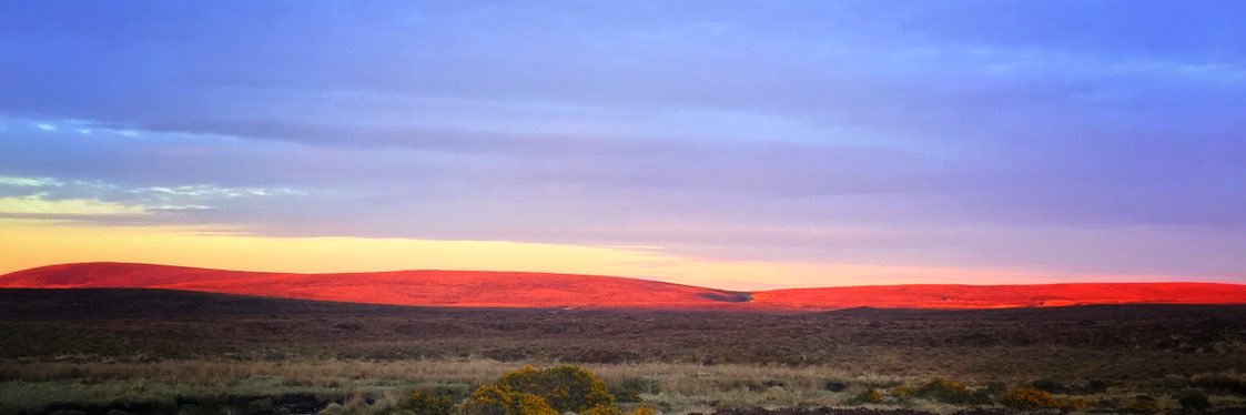 macinnes_'s profile banner image
