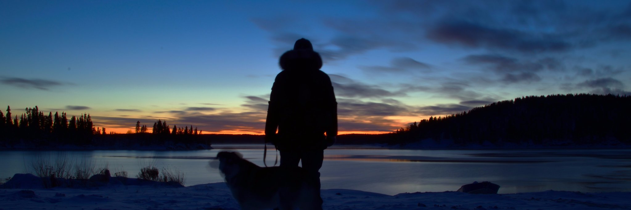 Toronto Boris banner