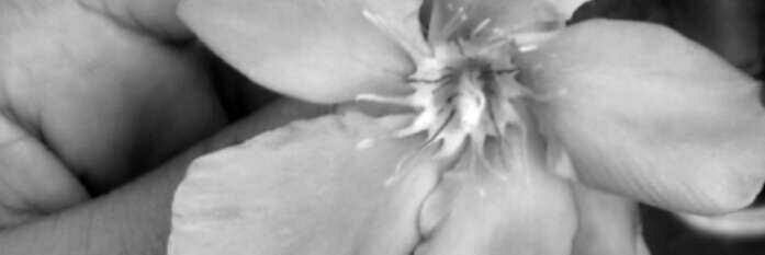_disouz's profile banner image