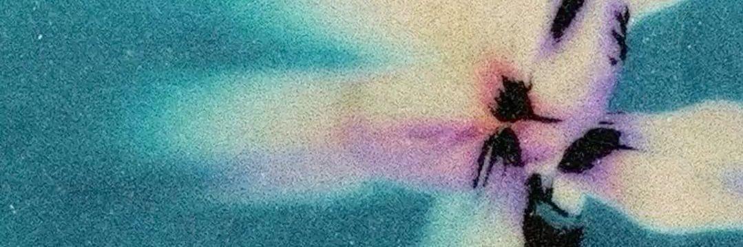 lesluvxi's profile banner image