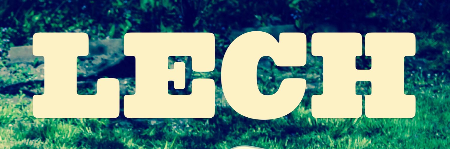 sara lippmann banner