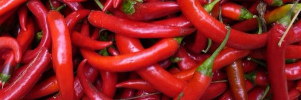 gpsyllides Profile Banner