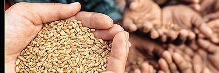 sitaram12345's profile banner image
