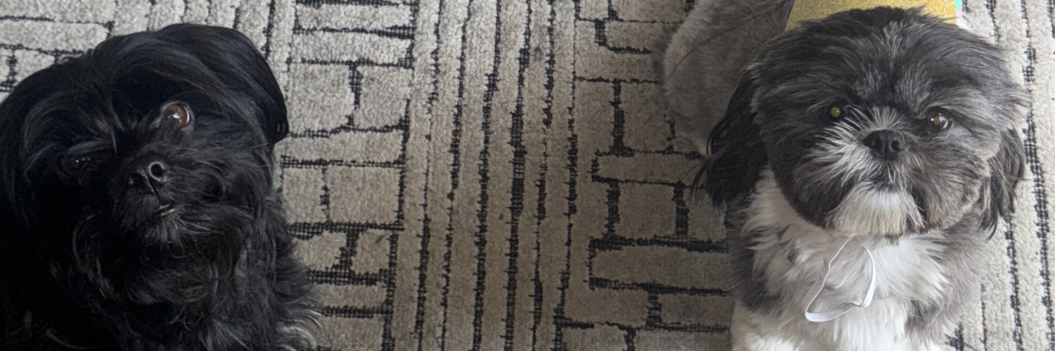 LeoCastro00's profile banner image