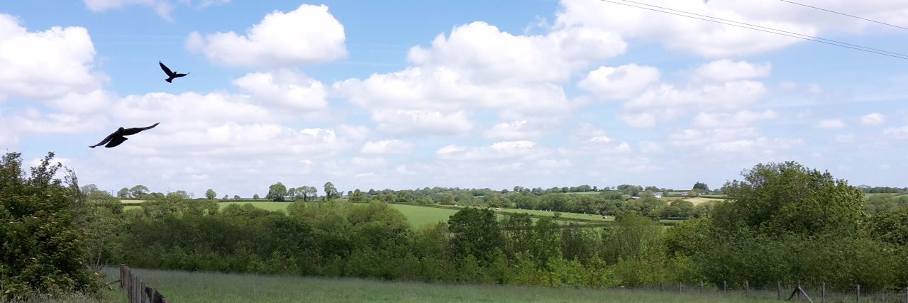 behaviour desc banner