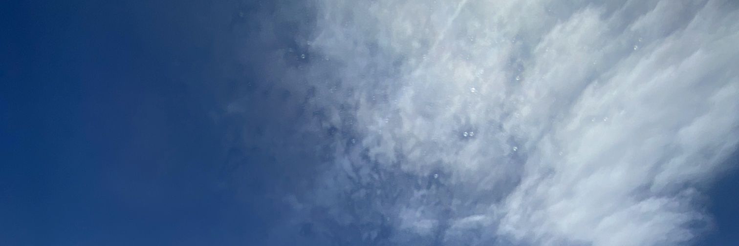 tacksamm's profile banner image