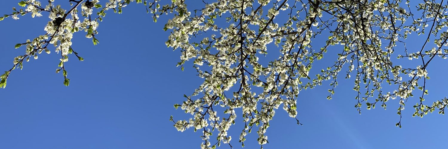 Minna Huotilainen banner