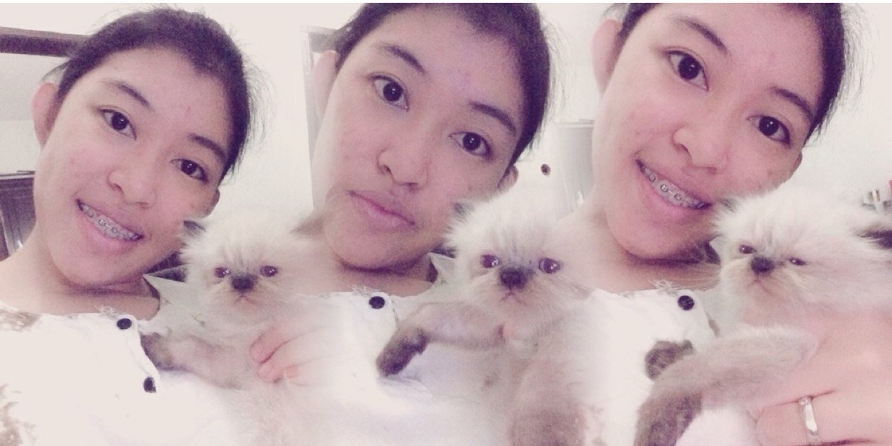 silvy anggraini banner