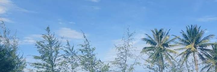 eeesmay's profile banner image