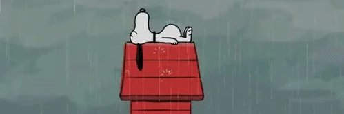 Jeffrey Hartmann 💙🕊️ banner