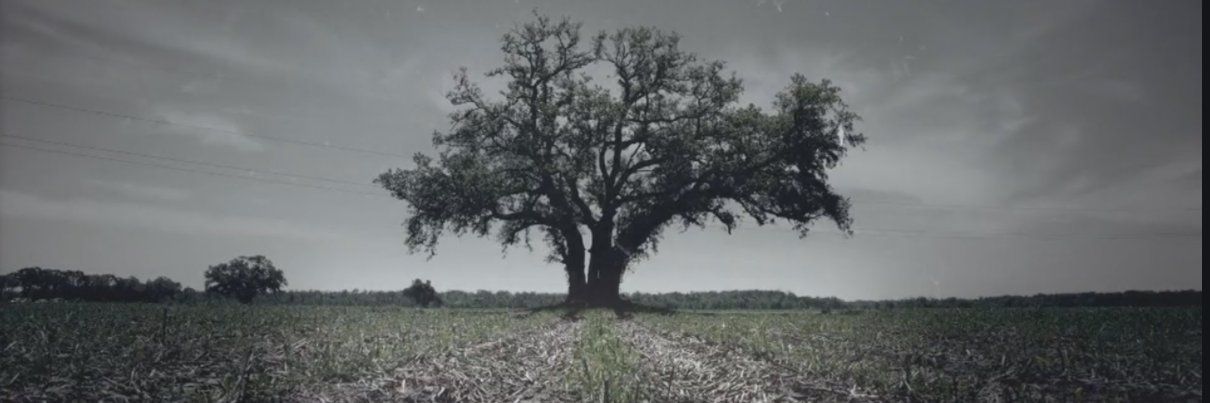 effecorona's profile banner image