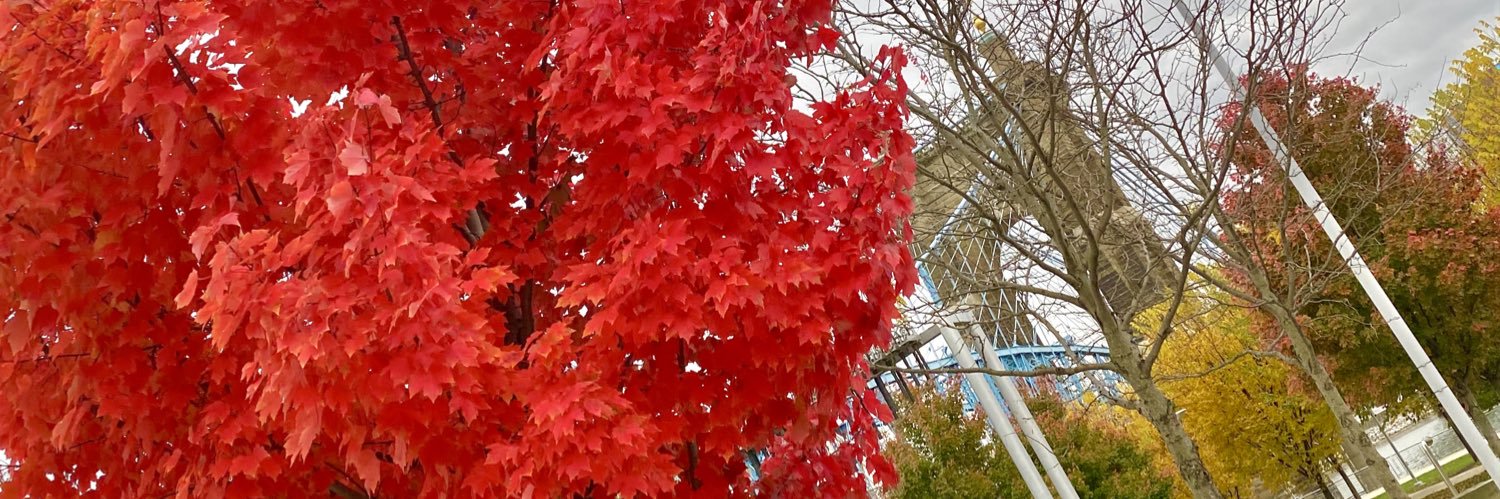 Jay_Coo's profile banner image