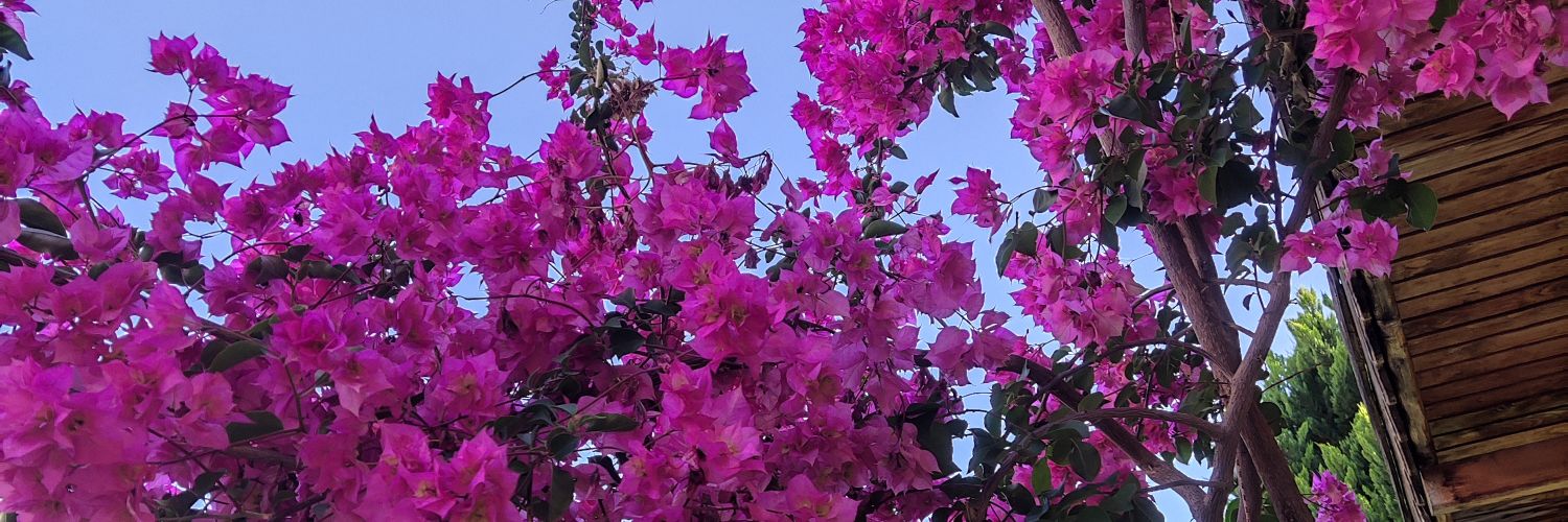 eeys26's profile banner image