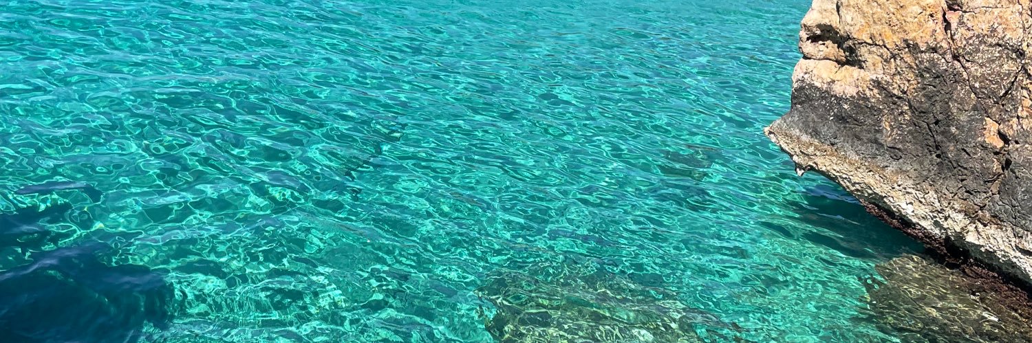 Alba Gimbert 🌿🌙 banner