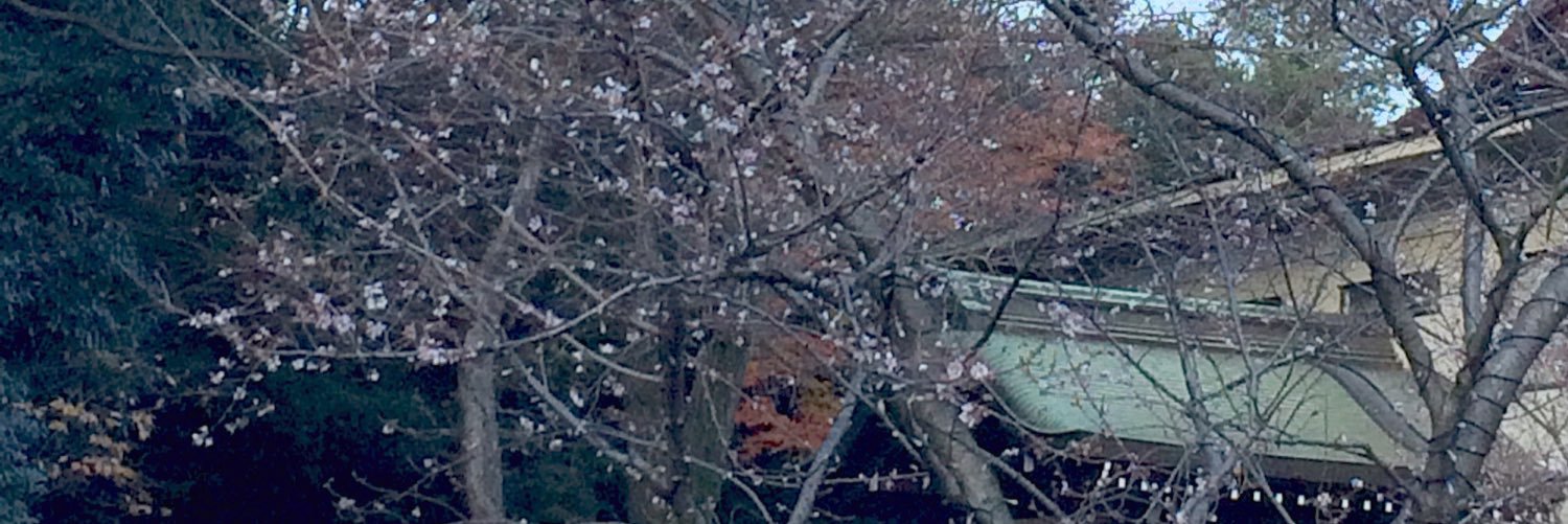 riezon_e's profile banner image