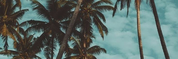 NoeeeAlvez's profile banner image