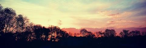 GallantSavvy's profile banner image
