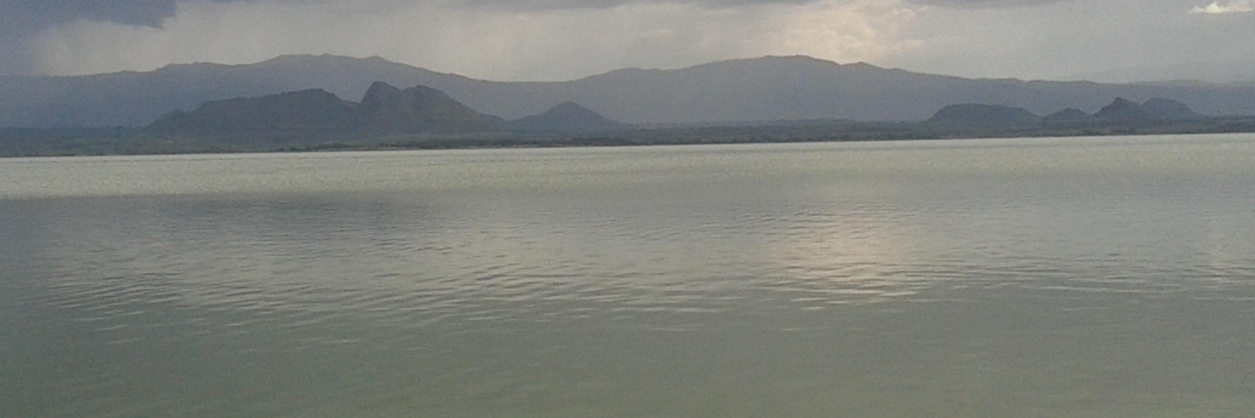 Geraldine McCrossan banner