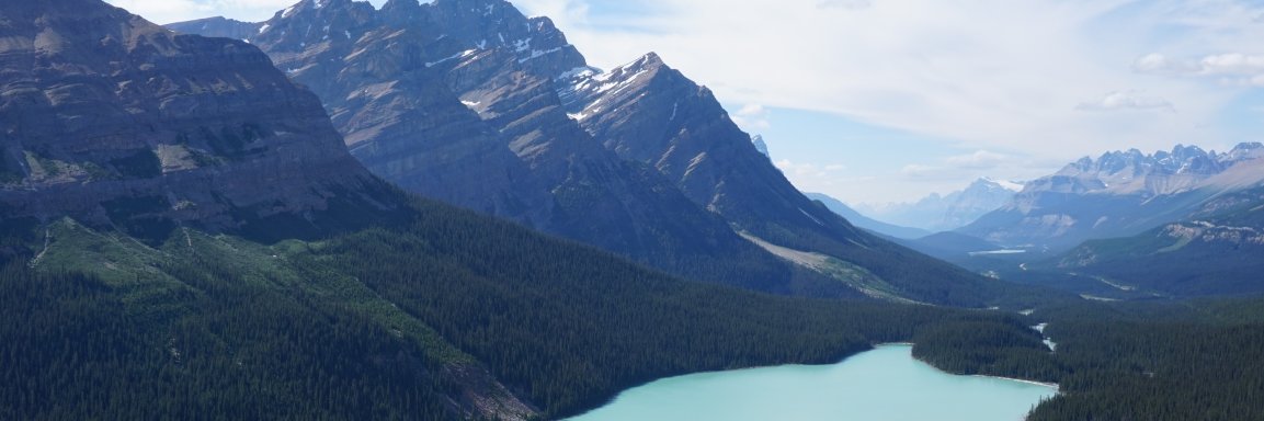 bob_lenzi's profile banner image