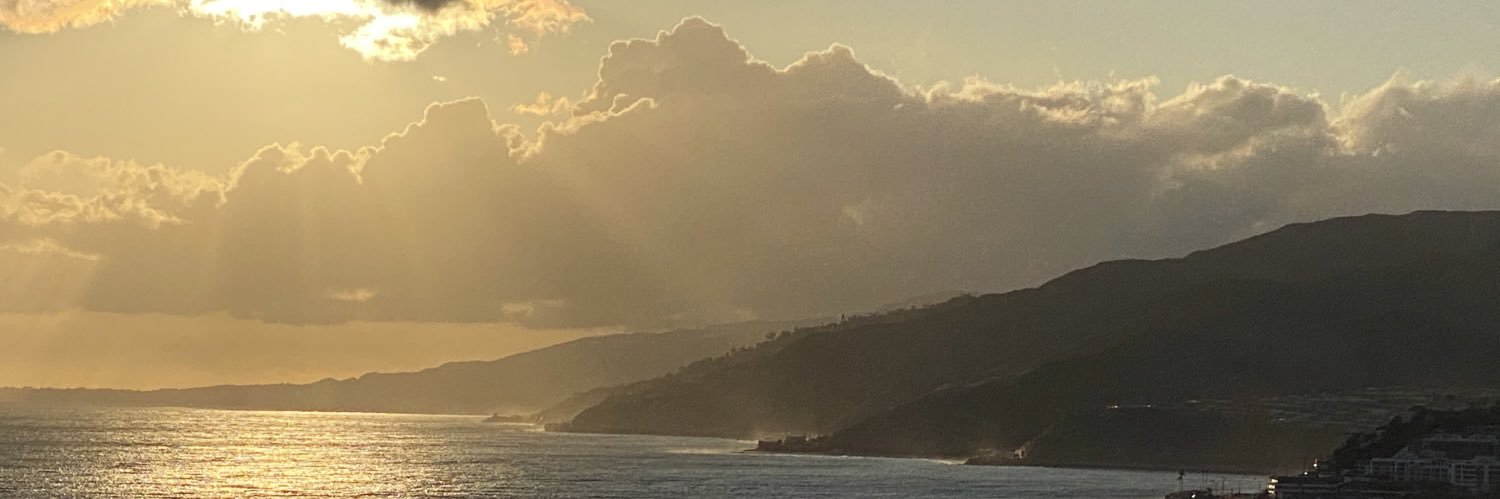 rexpachuta's profile banner image