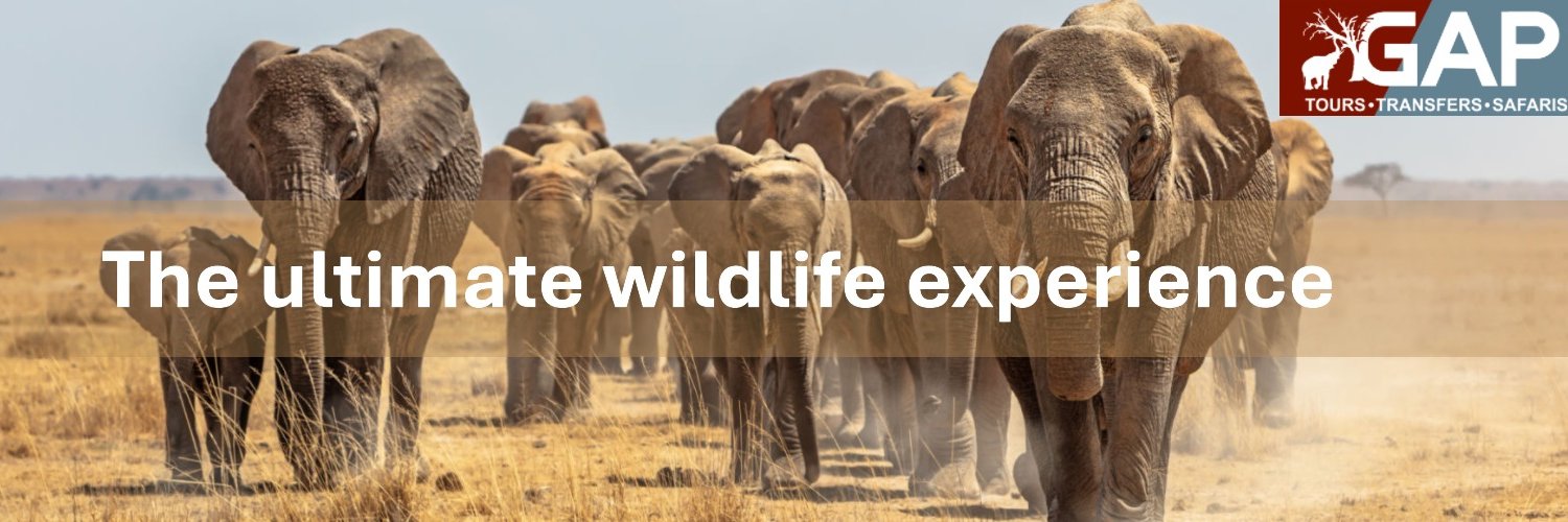 GAPTours's profile banner image
