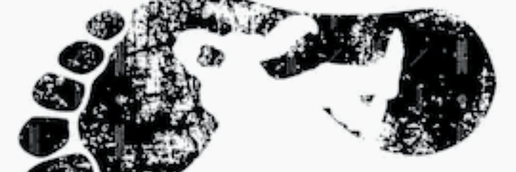 lwaysShe_ra's profile banner image