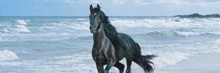 hmmr30's profile banner image