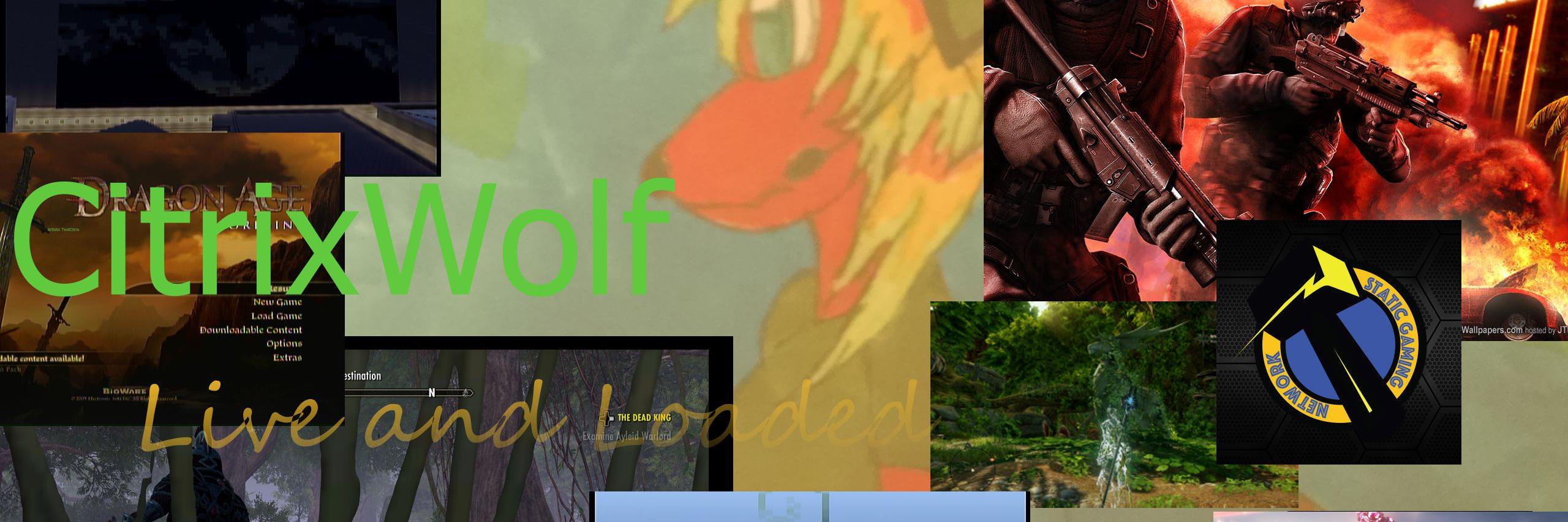 CitrixWolf's profile banner image
