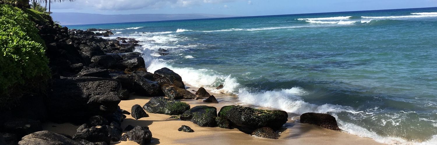 whereHAWAII's profile banner image