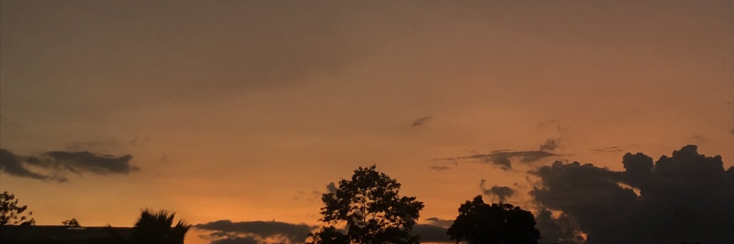dianablancom_'s profile banner image
