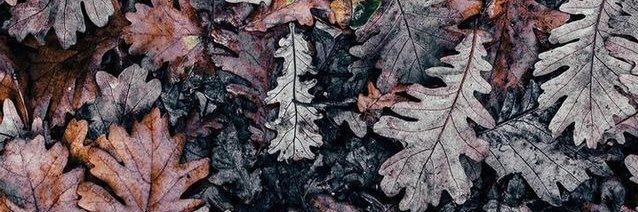 MDoomii's profile banner image