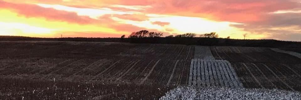TaraWard13's profile banner image