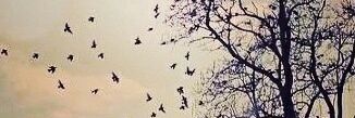marcos_vini96's profile banner image