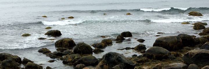 OOschwack's profile banner image