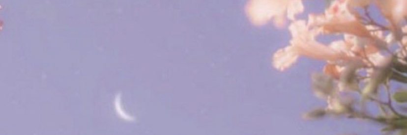 lllogandeliisle's profile banner image