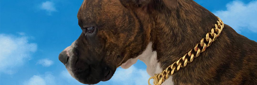 primoadrian_'s profile banner image