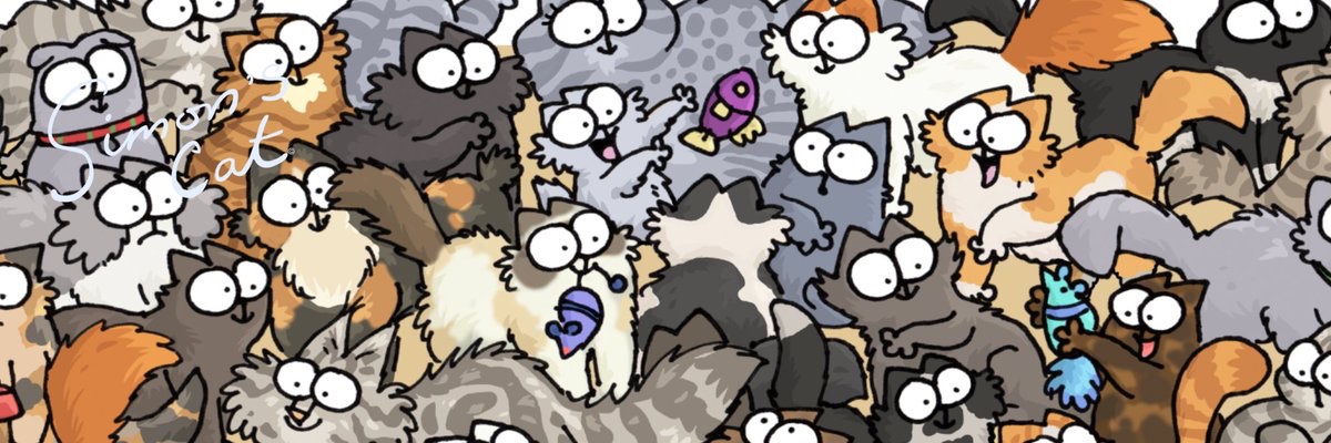 STF 👩🏼‍🦳🐈‍⬛🌻🍫🇺🇦🟧 banner