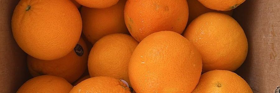 jianmingdan's profile banner image