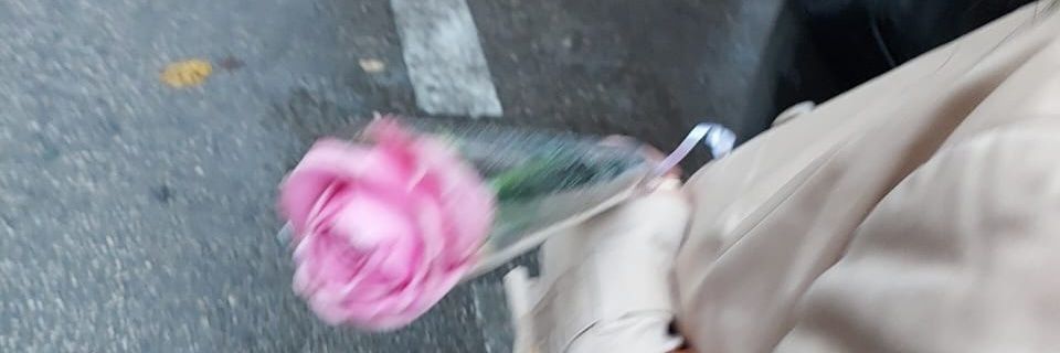 mimokassis's profile banner image