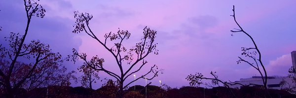 IsaacLavi Profile Banner