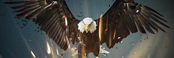 elleinad🇺🇲 banner