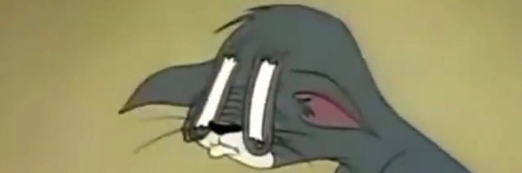 tsanigar's profile banner image