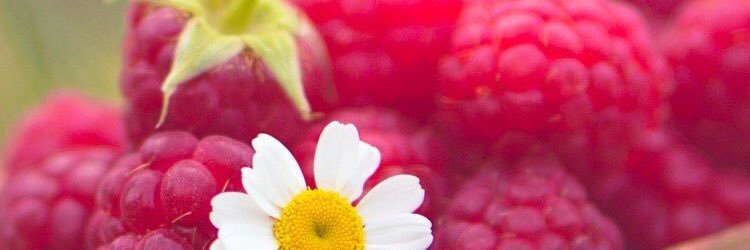 Bidalbid's profile banner image