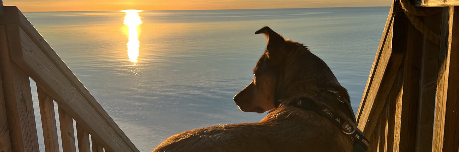 WesleyWakeman's profile banner image