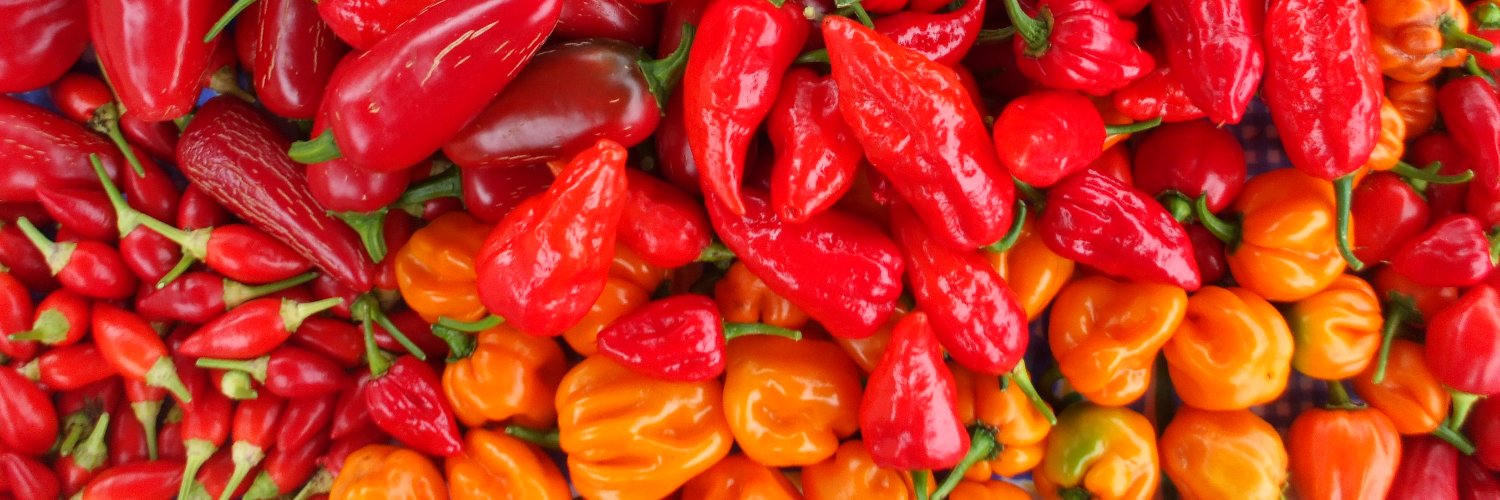 chillimagazine's profile banner image