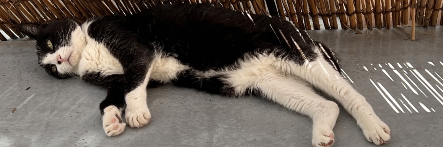 ひろえきの 腕 指 耳 目 肘 膝 脛 踵 歯 首 顎 肩 瞼 胃 腸 肺 皮 脳 頬 血 肝 魂 banner