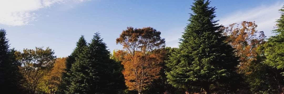 梅原宏揮 (うめはらこうき) banner
