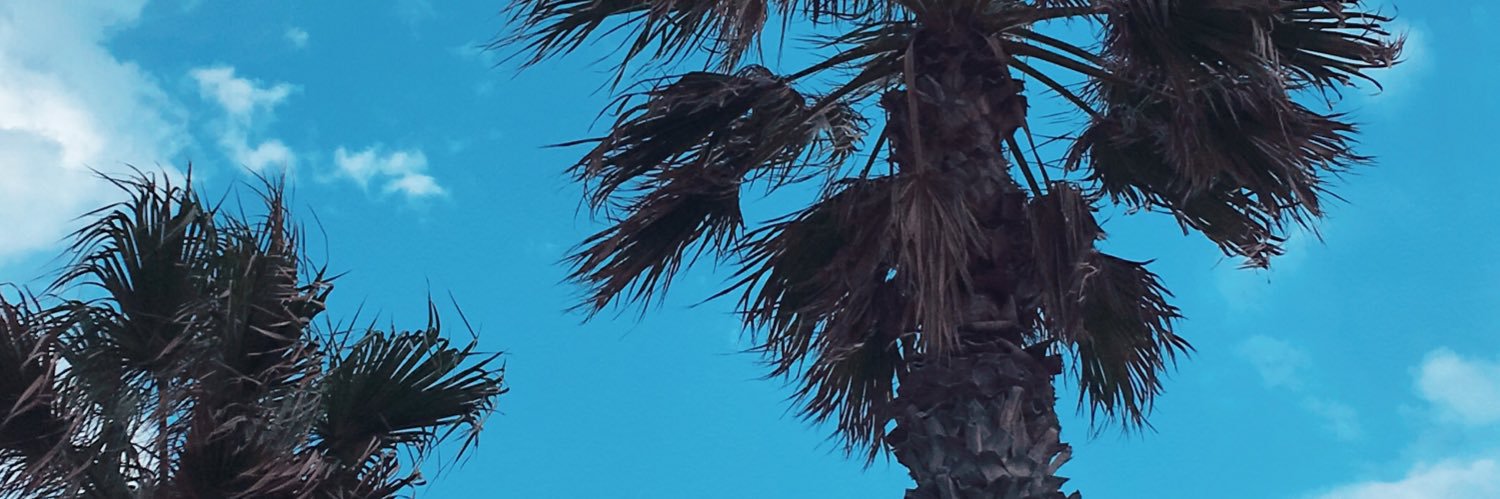 didolata's profile banner image