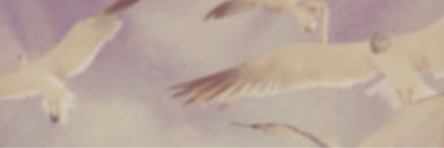 williamst03's profile banner image