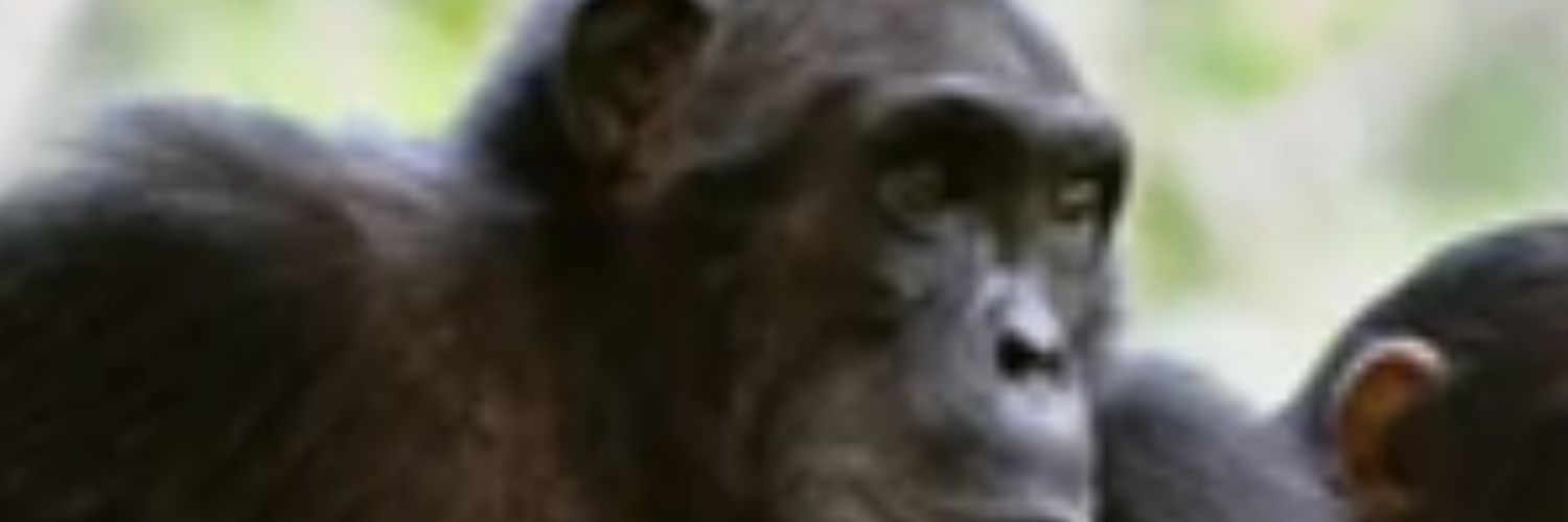 IdleBarrel0's profile banner image